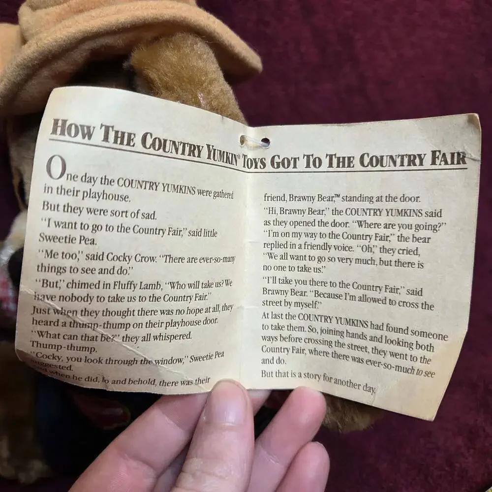 Vintage 1985 Dakin Del Monte Country Yumkins Brawny Bear Plush Toy